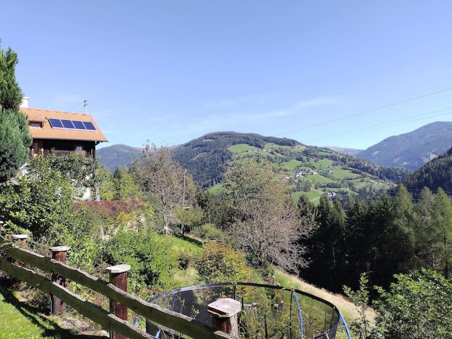 Fw Schnuckel In 300A Altem Bergbauernhaus 1110M Plessnitz Exterior foto
